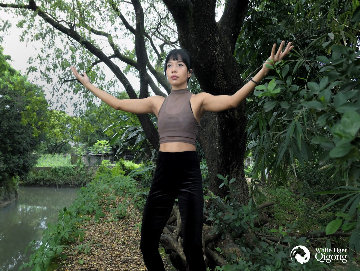 Qigong Poses