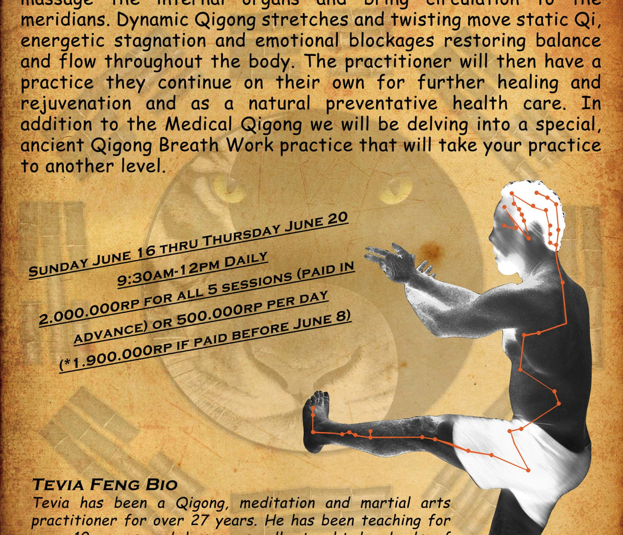 Medical Qigong Workshop Level 1 & Qigong Breath Work