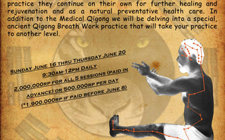 Medical Qigong Workshop Level 1 & Qigong Breath Work