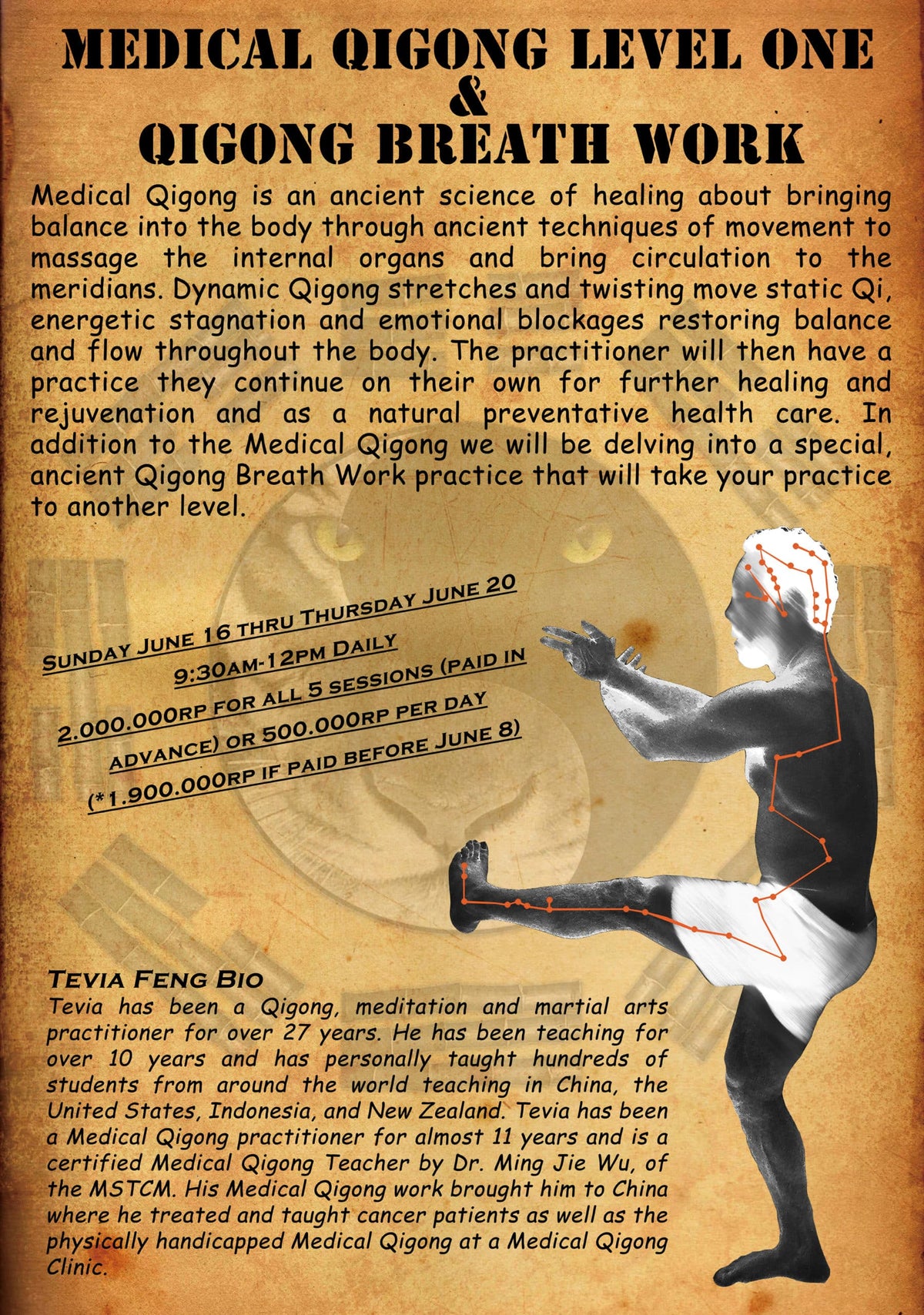 Medical Qigong Workshop Level 1 & Qigong Breath Work