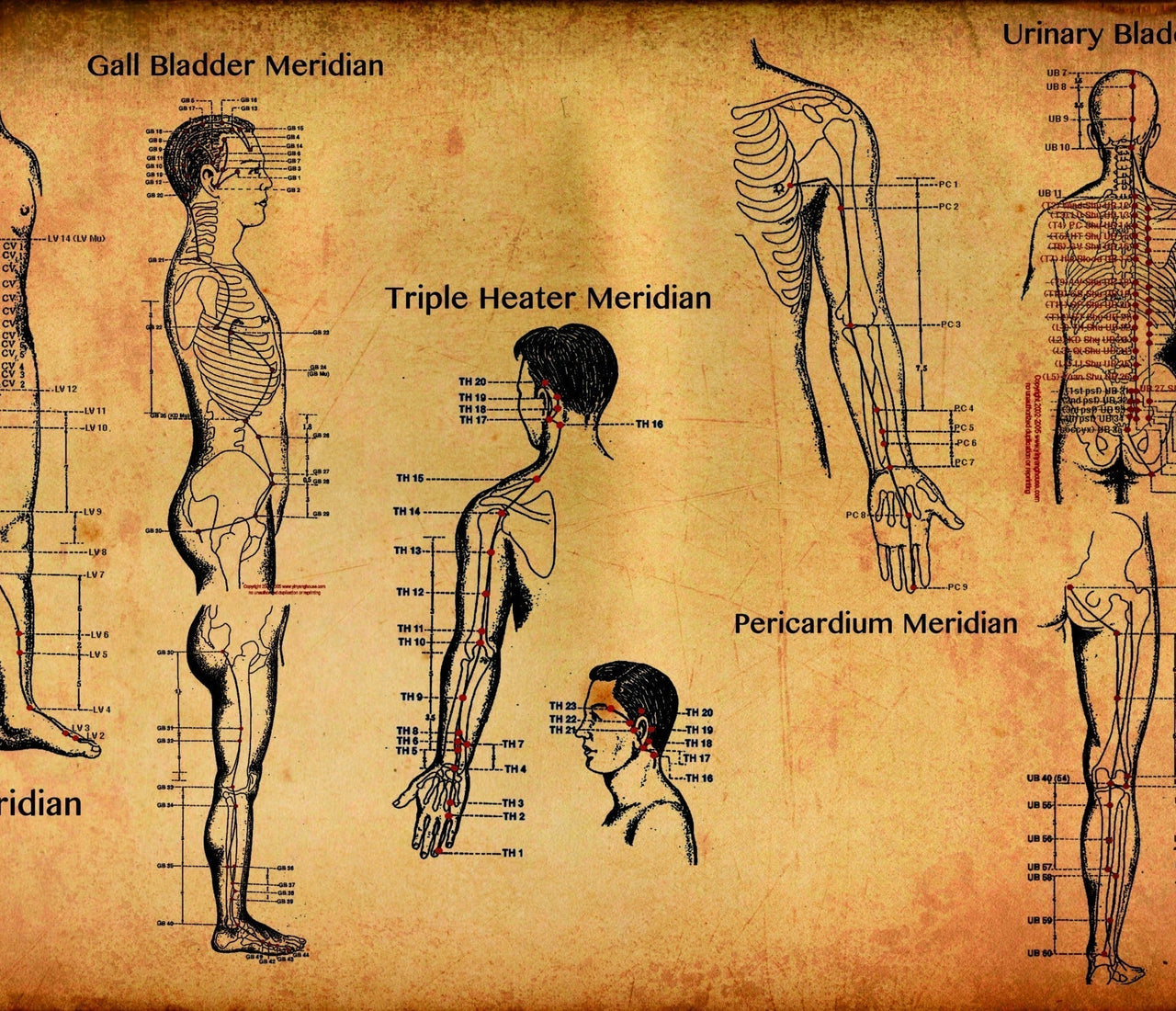Meridians and Diet-Emotional Connections
