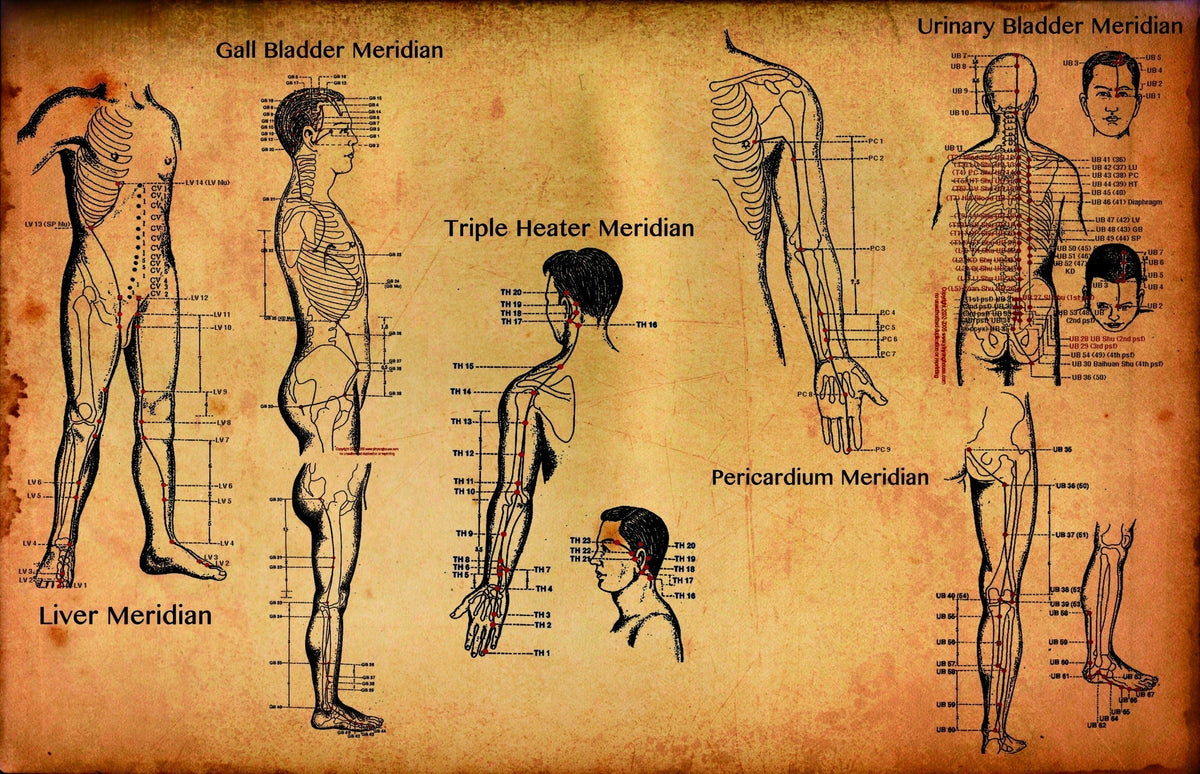 Meridians and Diet-Emotional Connections