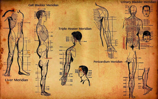 An image of Meridian pathways within the body