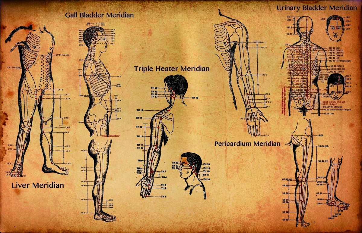An image of Meridian pathways within the body