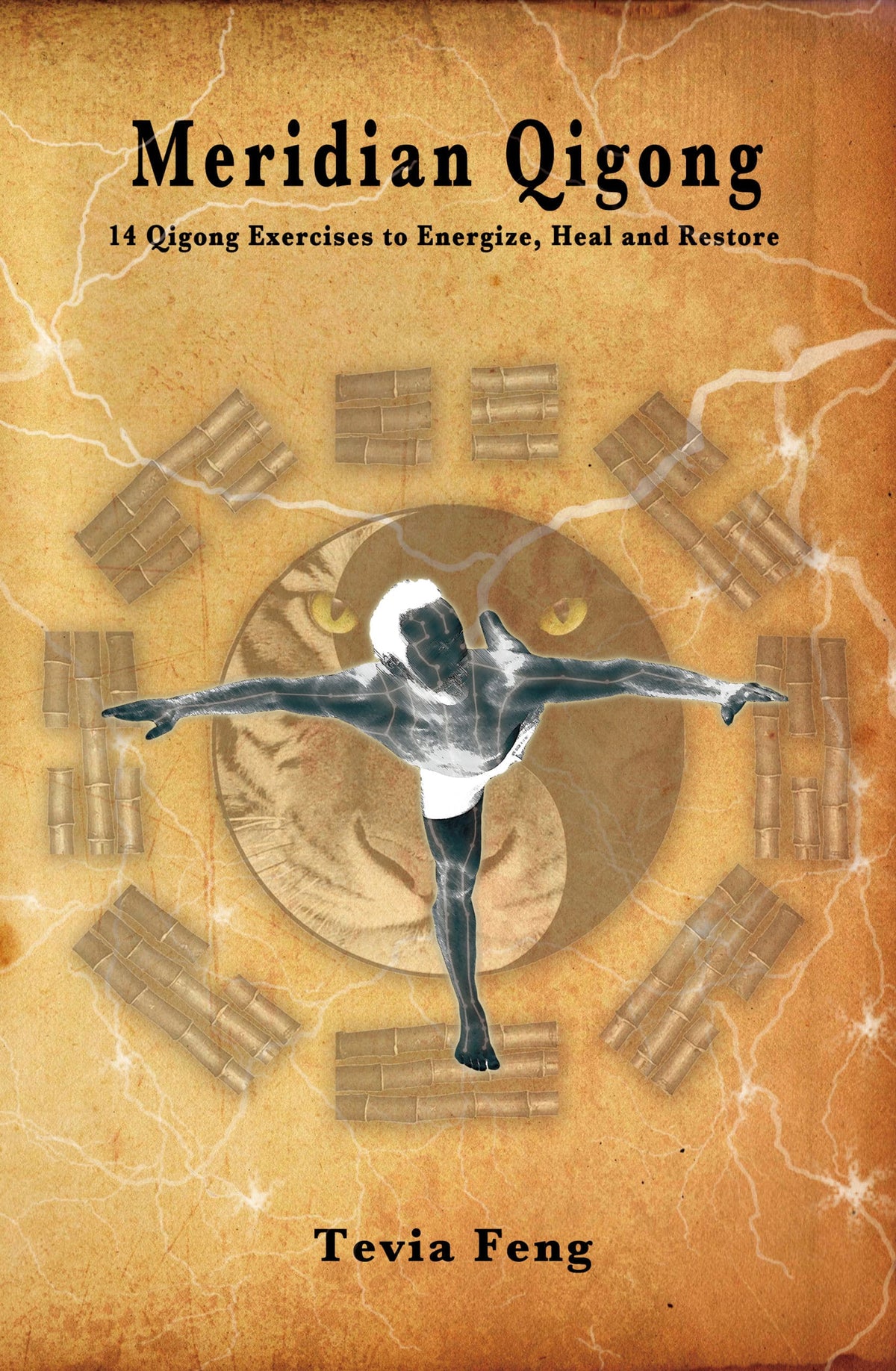 14 Meridian Qigong Set