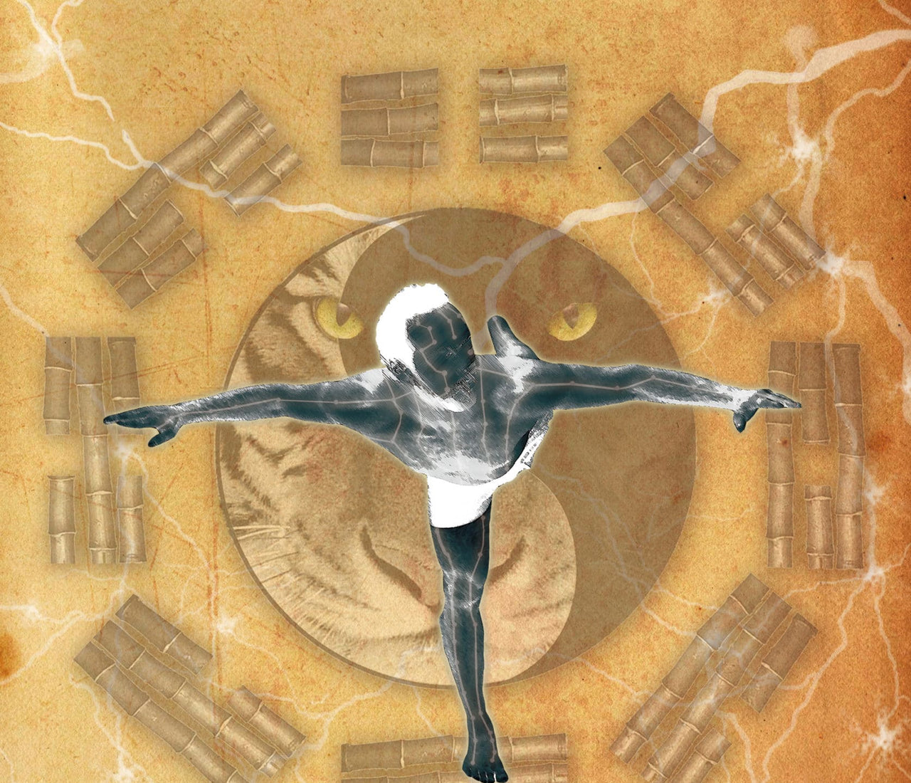 14 Meridian Qigong Set