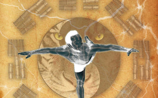 14 Meridian Qigong Set