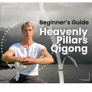 Unlocking Spinal Fluidity: A Masterclass on the 4 Heavenly Pillars Qigong