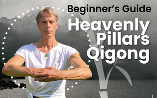 Unlocking Spinal Fluidity: A Masterclass on the 4 Heavenly Pillars Qigong