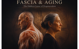 Death By a Thousand Cuts: Why Fascia, Posture, and Emotional Armour Are Aging You