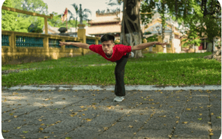 Crane Soars and Descends Qigong