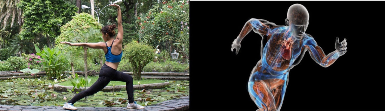 Sports Science and Qigong