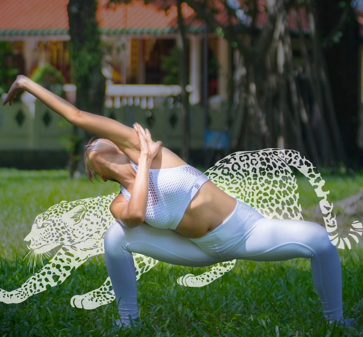 Leopard Qigong for Anger in the Liver and Balance