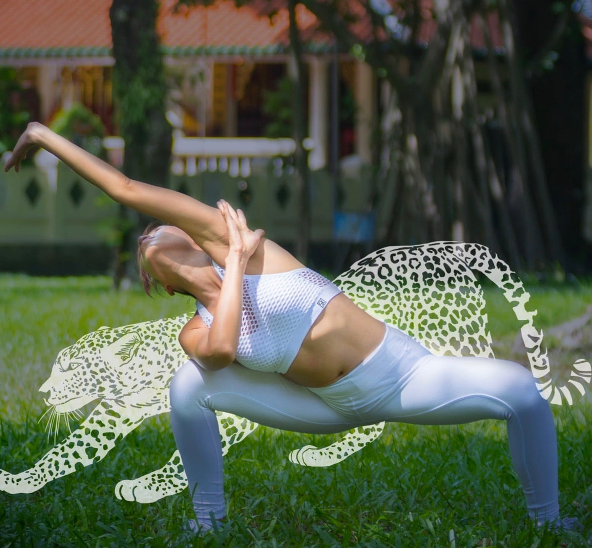 Energy flow and you
