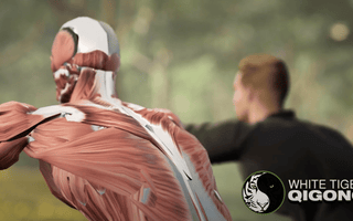 New Breakthrough- Qigong in 3D Online Course Training