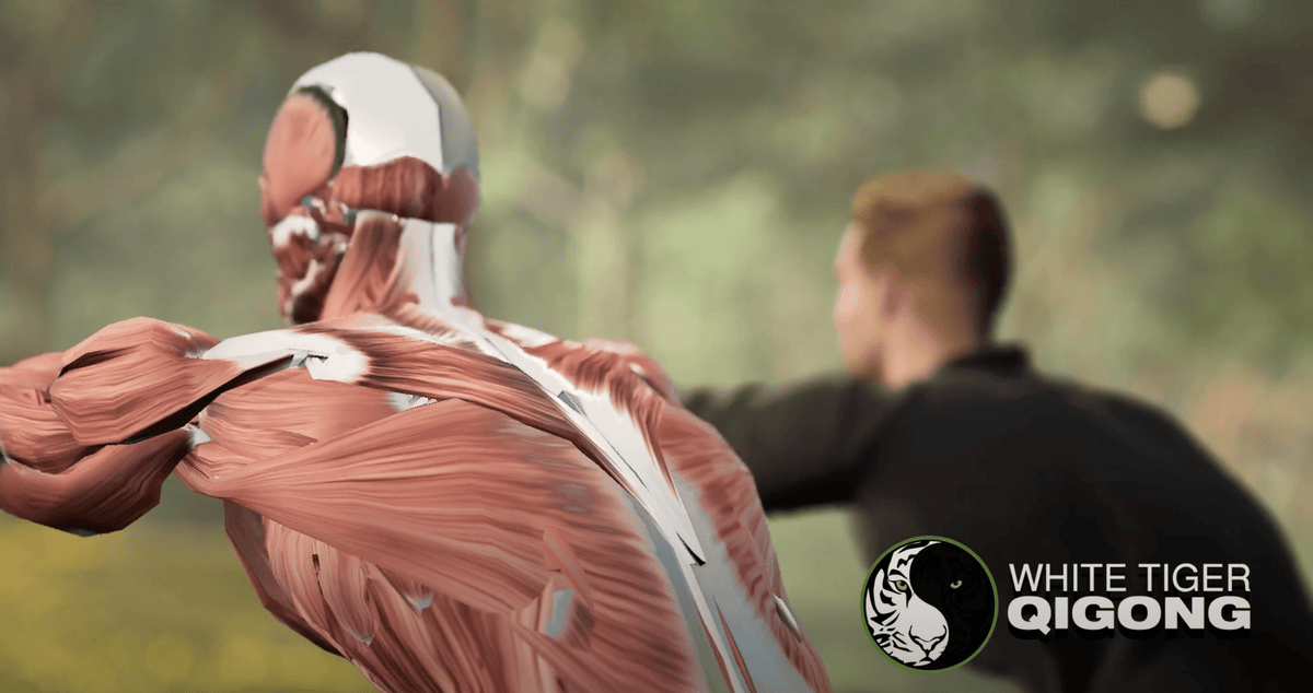New Breakthrough- Qigong in 3D Online Course Training