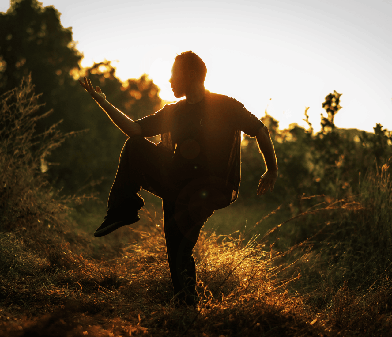 From Suffering To Profound Connection