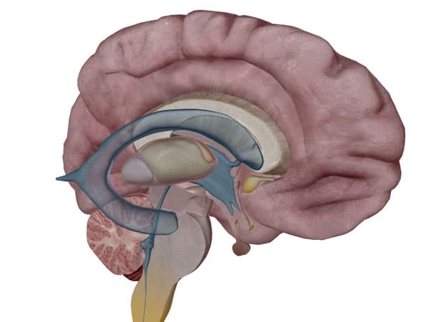 A Qigong Breathing Exercise To Master Your Body and Mind