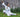 Join The 5 Element Qigong Mastery and Teacher Training Online Course