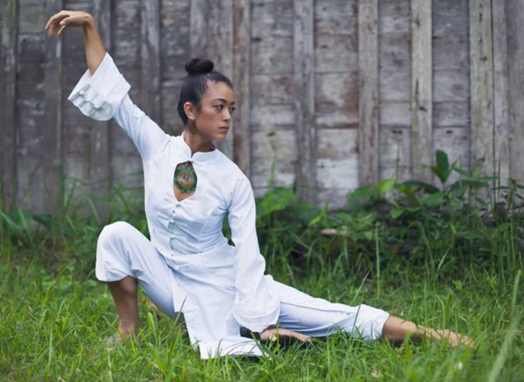 Join The 5 Element Qigong Mastery and Teacher Training Online Course