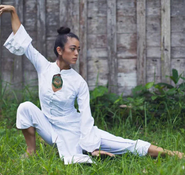 Join The 5 Element Qigong Mastery and Teacher Training Online Course