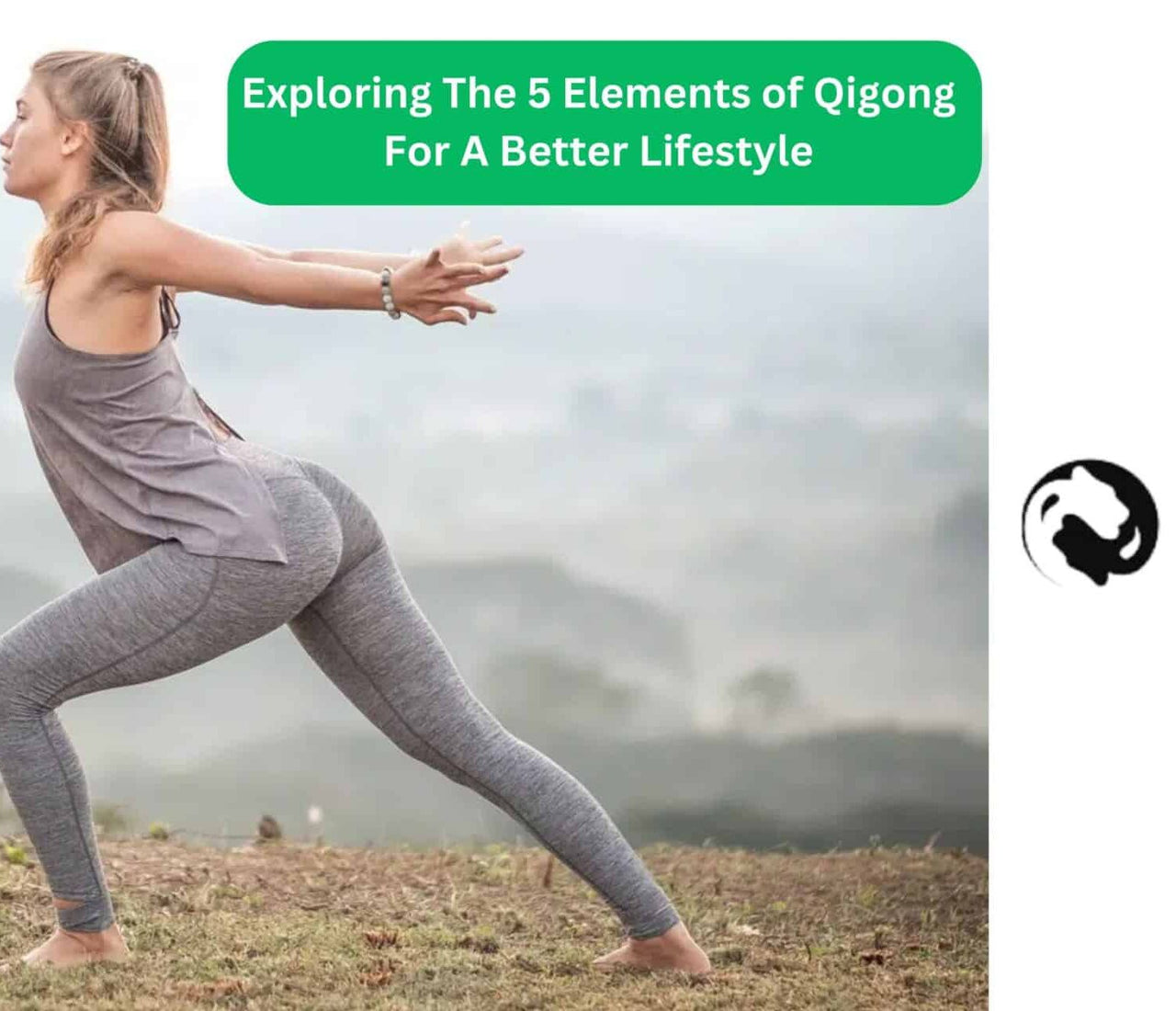 Exploring The 5 Elements of Qigong For A Better Lifestyle
