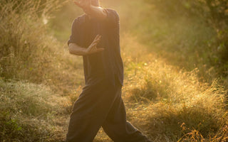 Emei Mountain Baguazhang vs Wudang Mountain Baguazhang