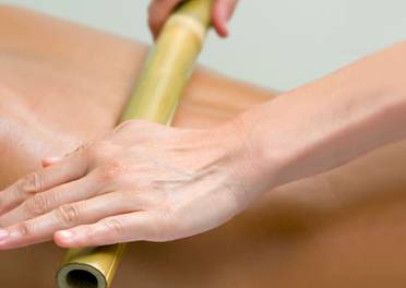 Plant Spirit For Qigong, Martial Arts, Meditation and Health