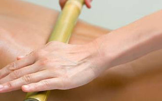Plant Spirit For Qigong, Martial Arts, Meditation and Health