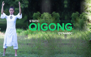 Establishing Balance between Dynamic and Static Qigong Movements