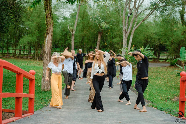 White Tiger Qigong Online Courses