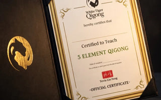 Is Qigong Certification Accredited? The Honest Answer