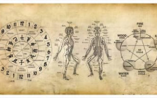 White Tiger Qigong practices: Modern meets Ancient