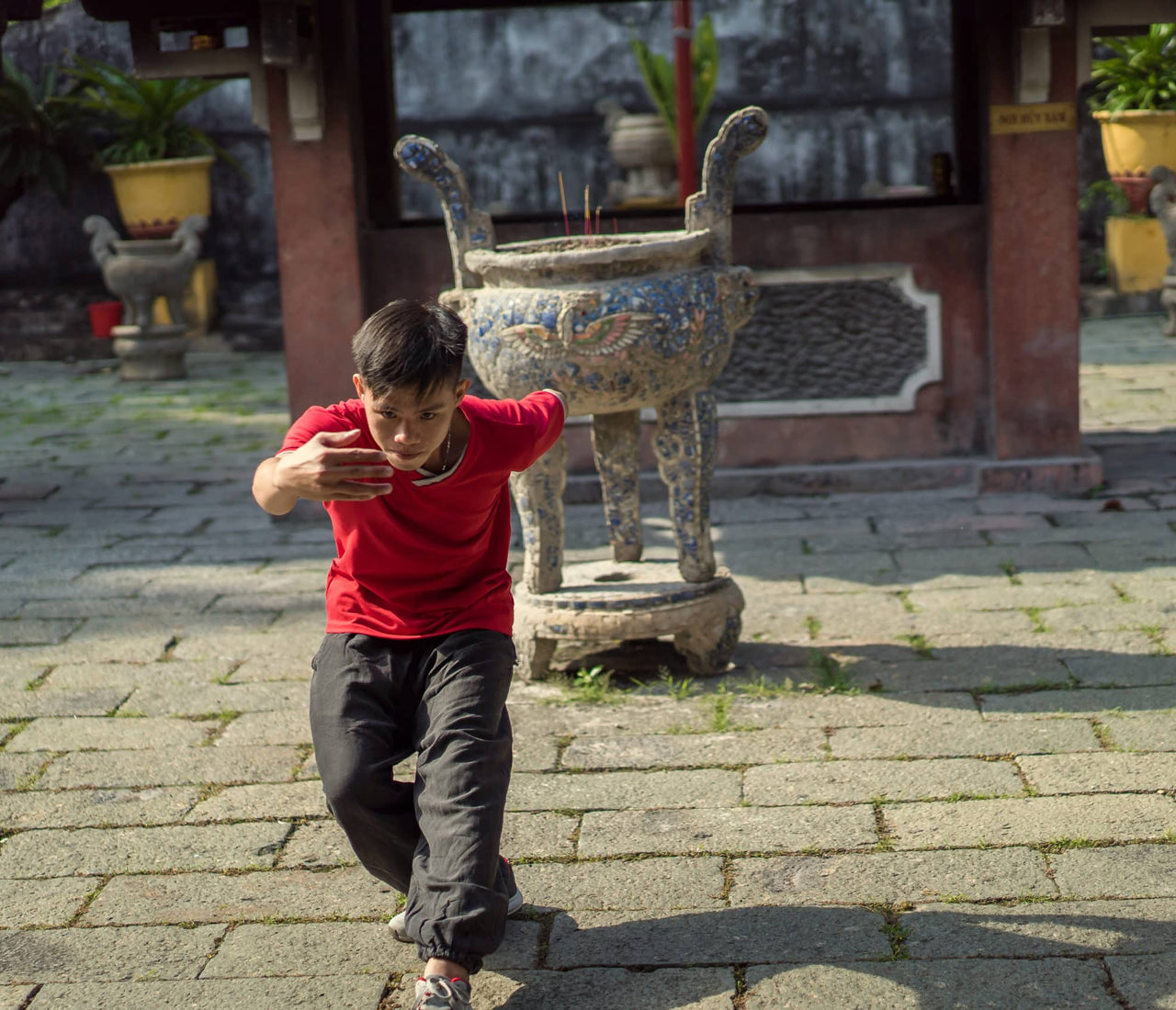 Deer Qigong for Water – Kidneys and Courage