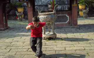 Deer Qigong for Water – Kidneys and Courage