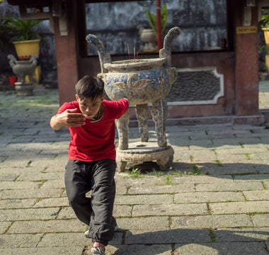 Deer Qigong for Water – Kidneys and Courage