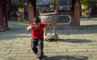 Deer Qigong for Water – Kidneys and Courage