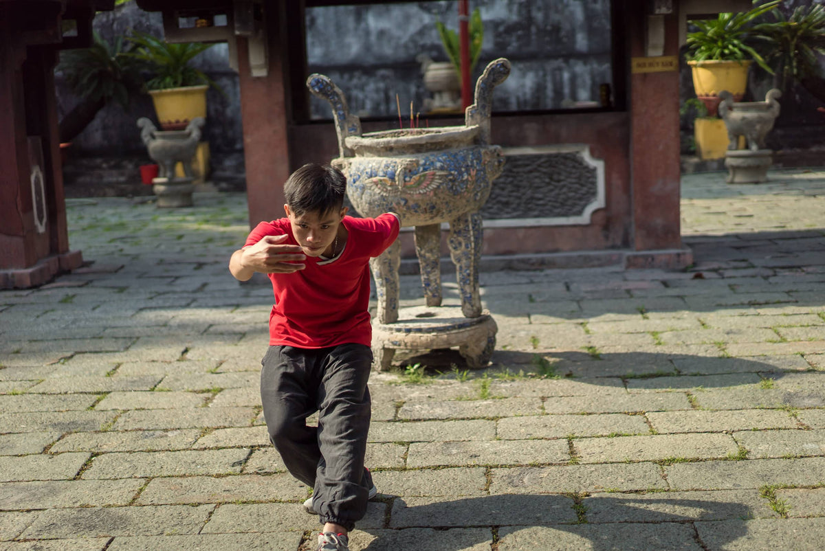 Deer Qigong for Water – Kidneys and Courage