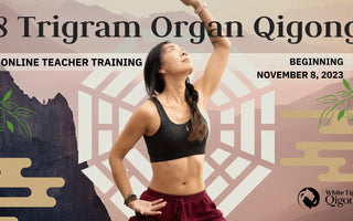 8 Trigram Organ Qigong Teacher Training