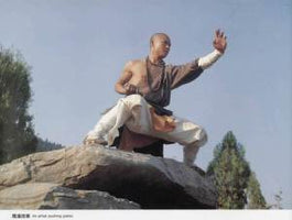 Qigong for Ligament and Tendon Training