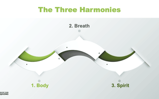 Three Harmonies of Qigong Practice