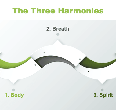 Three Harmonies of Qigong Practice