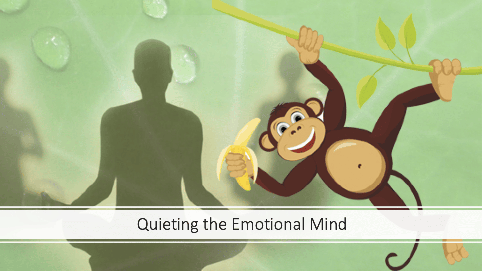 Calm Your Emotional Mind with Qigong Training Practice