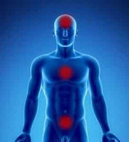 Qigong Exercise for the Immune System