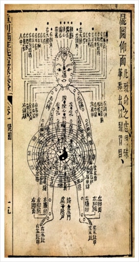 8 Animals Qigong and Elemental Relationships