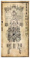 8 Animals Qigong and Elemental Relationships