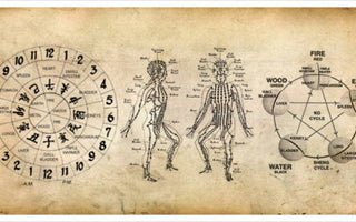 Heal Muscle Fascia With 8 Animals Qigong