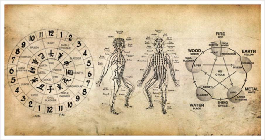 Heal Muscle Fascia With 8 Animals Qigong