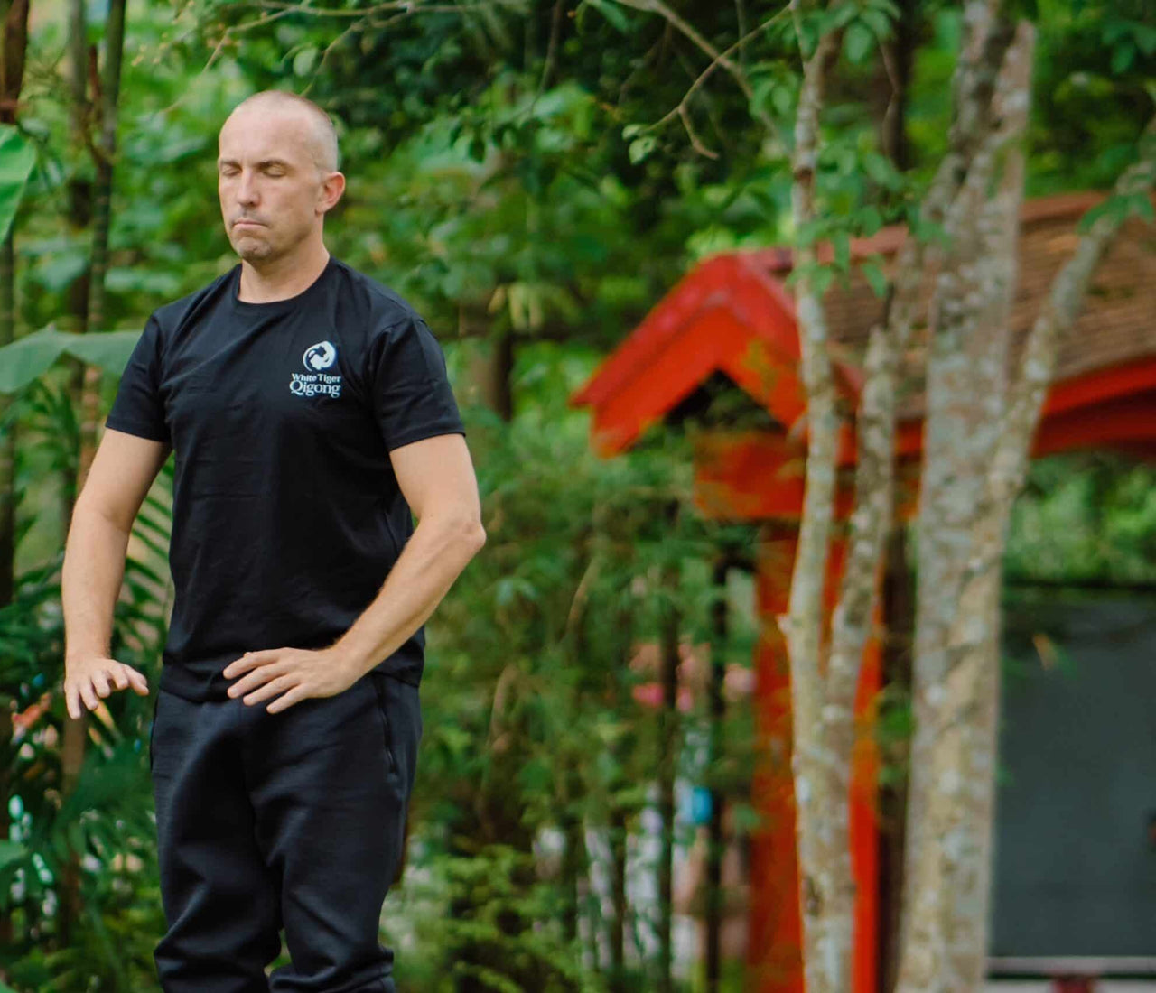 Qigong Breathwork