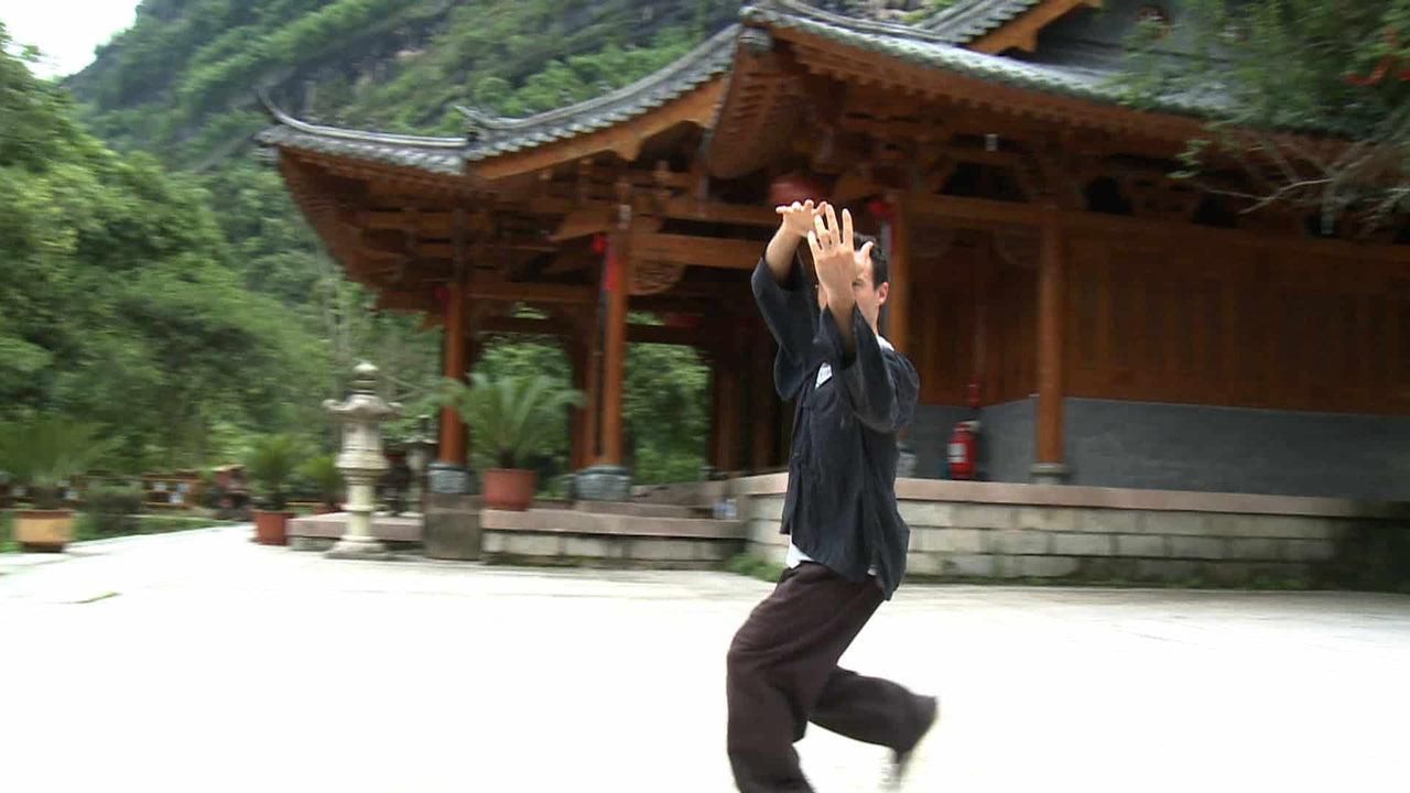 What is Baguazhang?